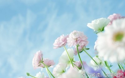 关于烦心的唯美语录