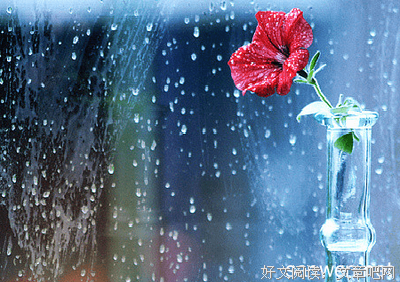 关于忧愁的语句