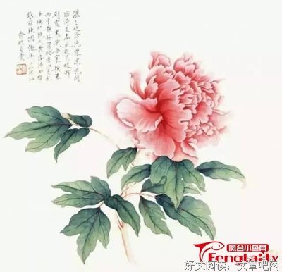 年龄顺口溜，简直太有才了，精辟!