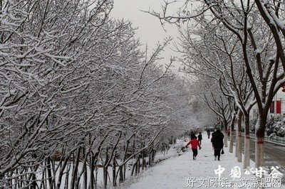 最新的《春雪》经典名句
