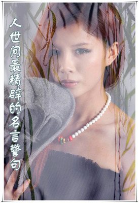 分分钟格言警句