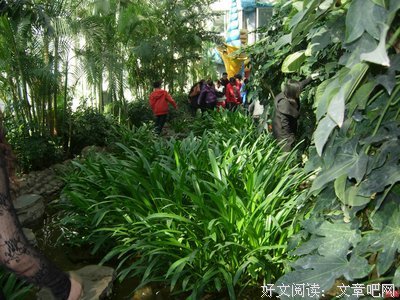 很感谢你来过，不后悔我是我。