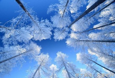 最全的《活着》经典名句