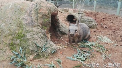 蓝山经典读后感10篇