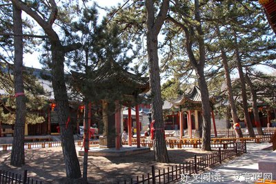 当我在五台山，想念您，我的老恩师