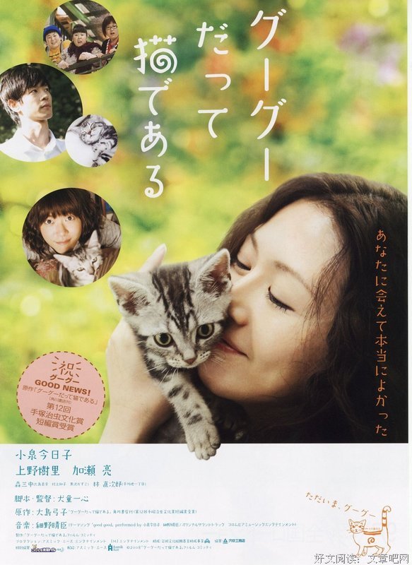 《咕咕是一只猫》观后感10篇