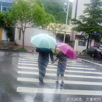 《悠悠我心》读后感10篇