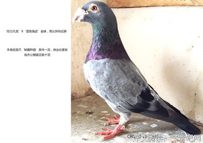 《秘藏2》经典读后感10篇