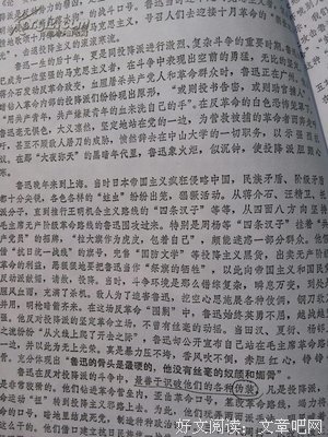 这本细腻至极的讽刺小说，对鲁迅影响极大
