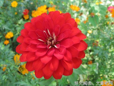 实录：我的人生让&quot;出轨&quot;给毁了......