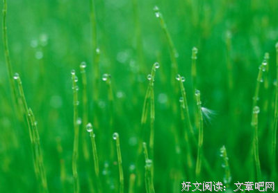 成百上千的语句摘抄_关于成百上千的语句