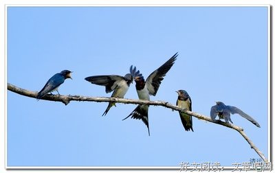 宝贝来，张嘴。