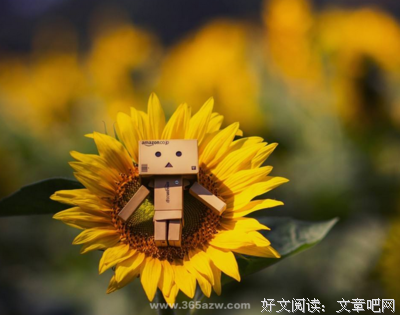 十字街头的名言_关于十字街头的名言