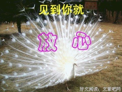 最全的小佚的名言名句