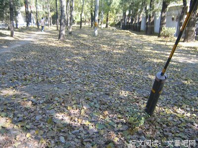 《世界末日》经典观后感集