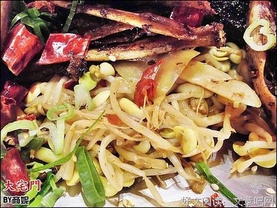跑进大宅门的一只鸭