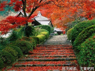我经不起人性实验：因为我不是仙