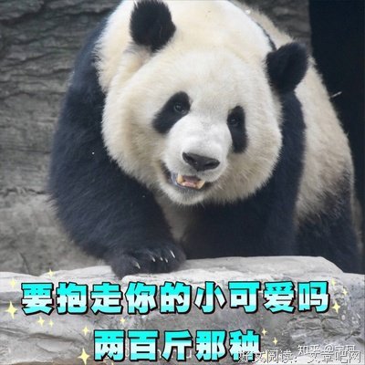 你有什么建议给恋爱中的男孩子？