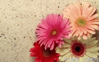 最新的《心语》语录摘抄