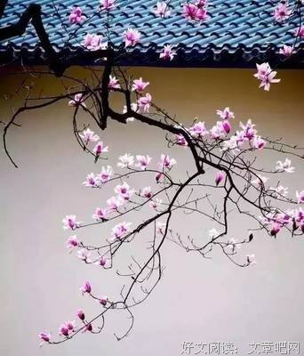 最新的《汉书》经典名句大全