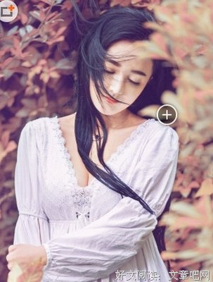 最全的《纸婚》小说句子大全