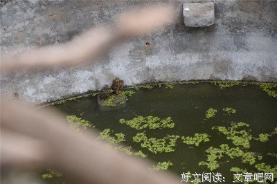 还说自己是好老公？这篇文章绝对让你脸红！