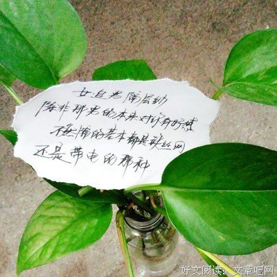 干了这杯毒鸡汤，我们认清现实，继续前行