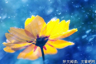 余生还长，何必慌张