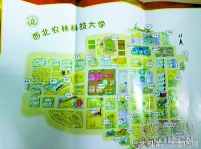 这年头，连录取通知书都开始拼颜值了