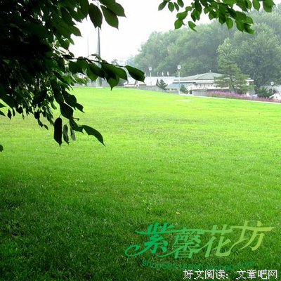 院子句子
