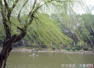 深夜好词好句