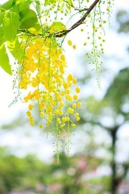 想开、看开、放开