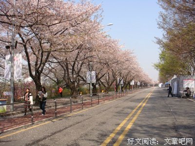 关于雨沐苍的句子
