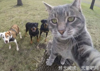 在事傲吴湖句子
