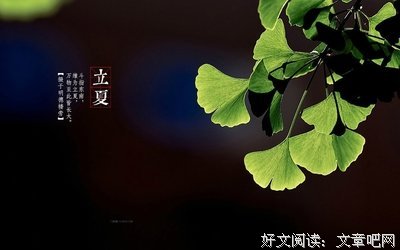 描写藤条的经典句子