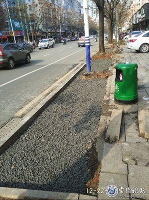 关于里克的语句
