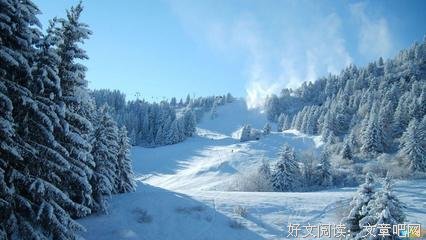 若雪的语句摘抄_关于若雪的语句