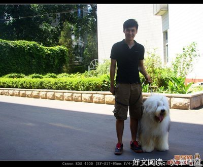 巴桑格言警句