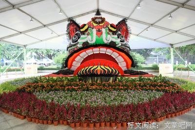 狮王的语句摘抄_关于狮王的语句
