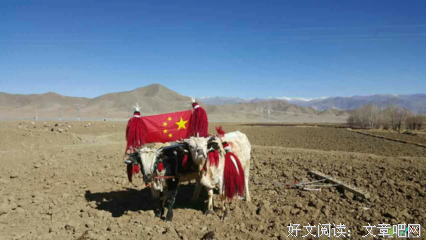 拉康的格言