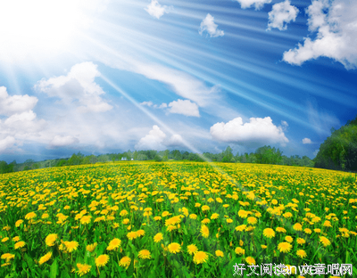 最全的《圭恰迪尼格言集》经典语录