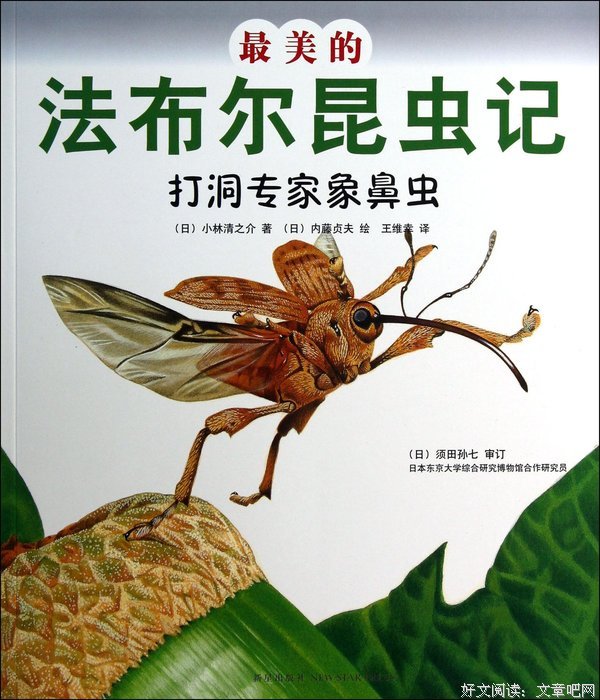 《最好金龟换酒》经典读后感10篇