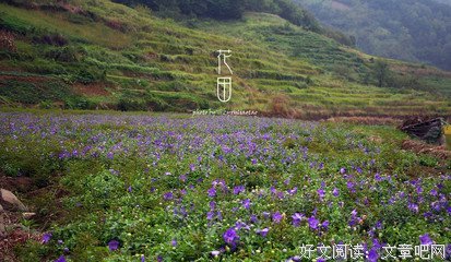 花田半亩名句欣赏