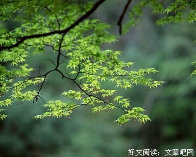 什么于什么！优美的句子