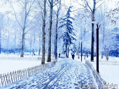 关于雪岁作有对使的句子