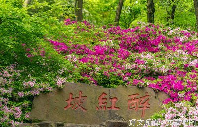 艳艳的名句_关于艳艳的名句