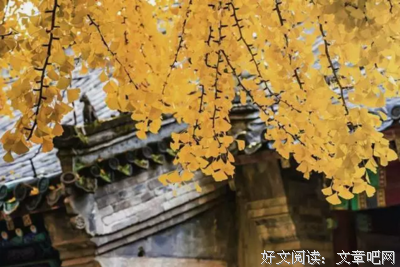 关于施比受的名言
