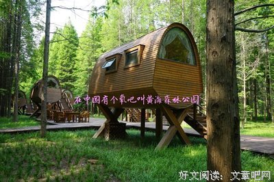 最经典的朱炫15句经典名言