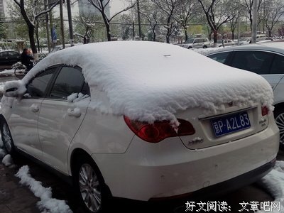 《酷儿》读后感10篇