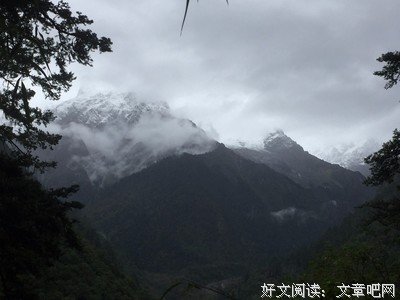 苦行记读后感10篇